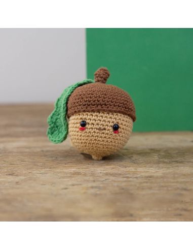 Kit de crochê - Bolota