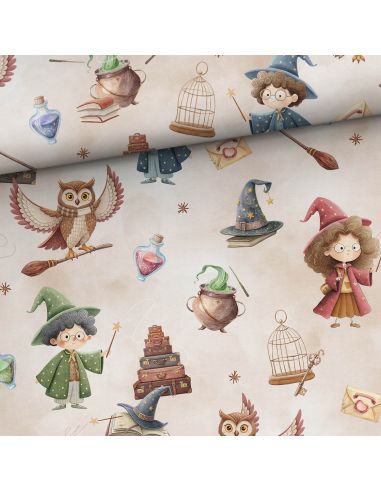 Tissu sweat - Sorciers et hiboux