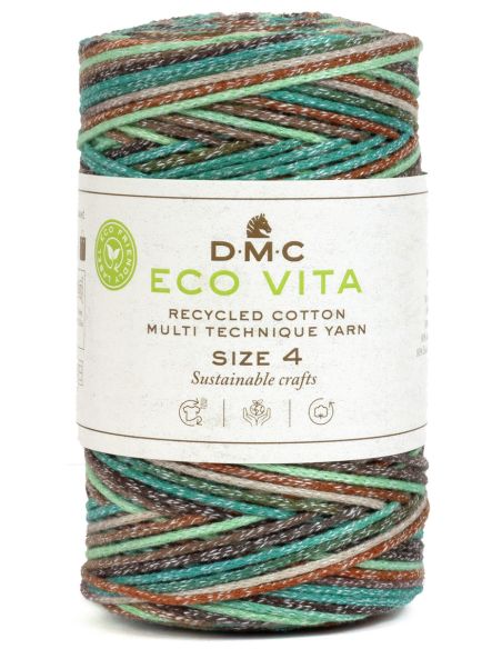 Coton recyclé Eco Vita 4 Multicolor DMC