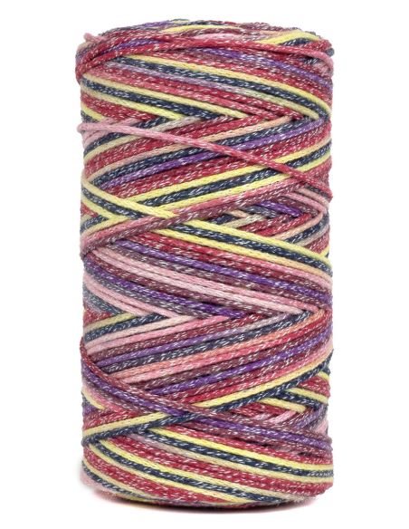 Coton recyclé Eco Vita 4 Multicolor DMC