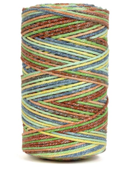 Coton recyclé Eco Vita 4 Multicolor DMC