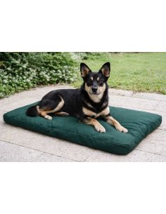 Tissu toile imperméable - Vert sapin 2
