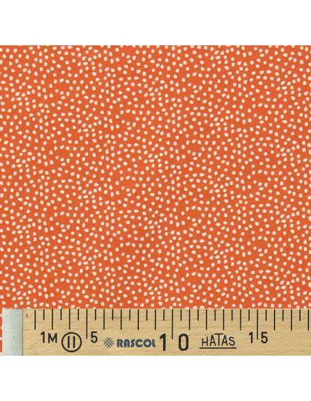Tissu popeline de coton - Tassi orange et blanc