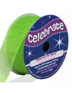 Fita de organza Celebrate verde anis - 20 mm x 5 m