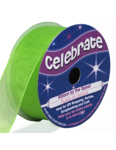 Fita de organza Celebrate verde anis - 20 mm x 5 m