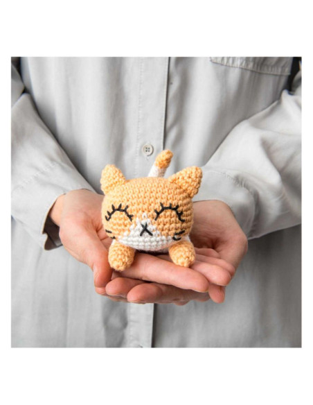 Livro Ricorumi Pocket Pals