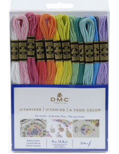 Pack de 24 meadas de fios para bordar mouliné DMC - Os vitaminados