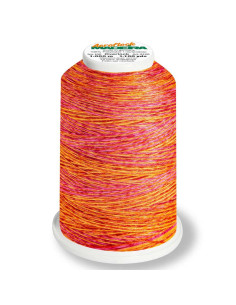 Cone de fio espuma Madeira Aeroflock Multicolor 1000 m