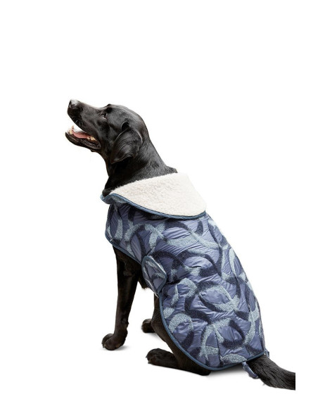 Molde de casaco para cão - Burda 6049