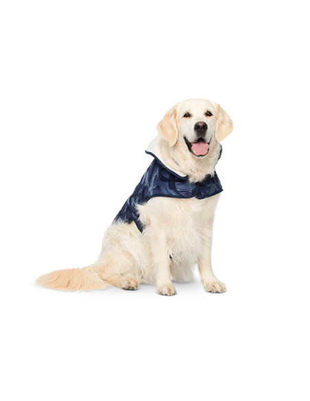 Molde de casaco para cão - Burda 6049