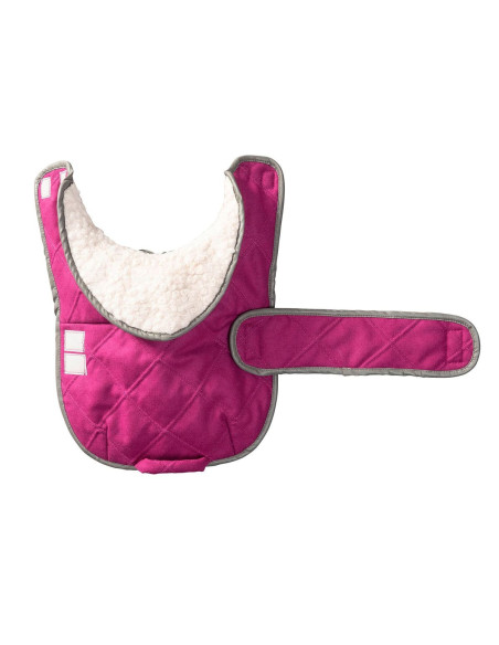 Molde de casaco para cão - Burda 6049
