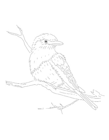 Livro de transferências em bordado tradicional
