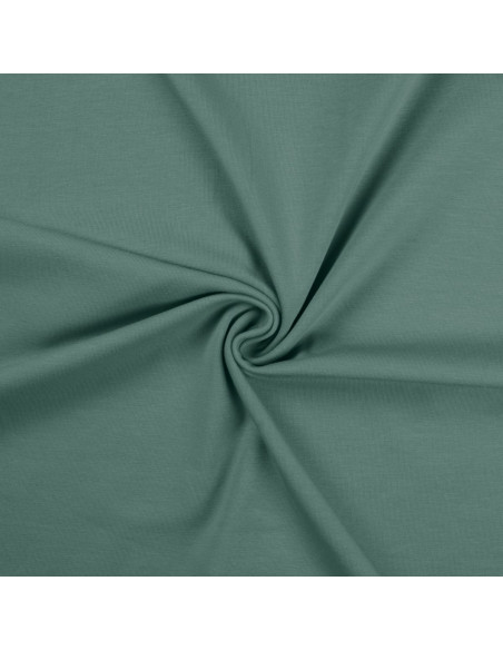 Tecido jersey de algodão - Verde acinzentado