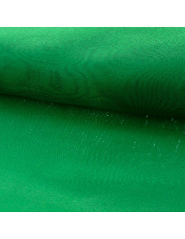 Tecido organza - Verde