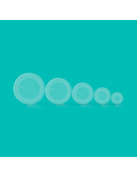 Conjunto de 5 réguas de círculos Creative Grids