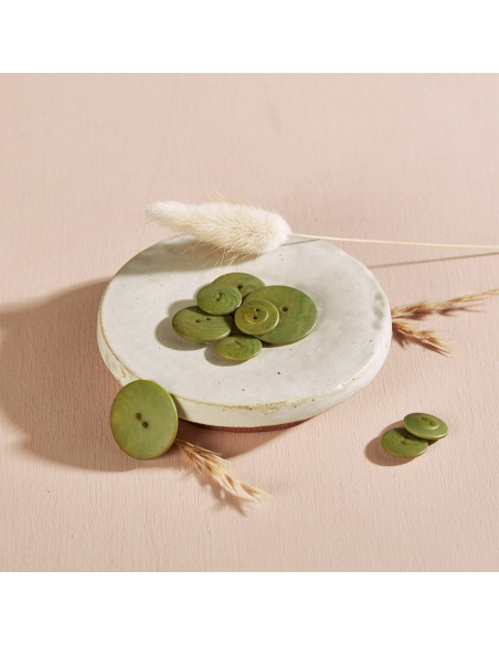 Botão Palm - Folha de Matcha