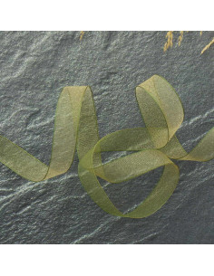 Fita de organza - Caqui