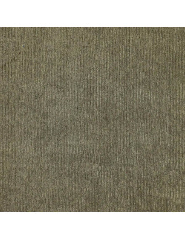 Tecido de veludo cotelê - Caqui