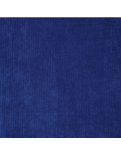 Tecido veludo cotelê - Azul real 2