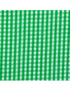 Tecido popeline de algodão - Vichy grandes quadrados - Verde 2