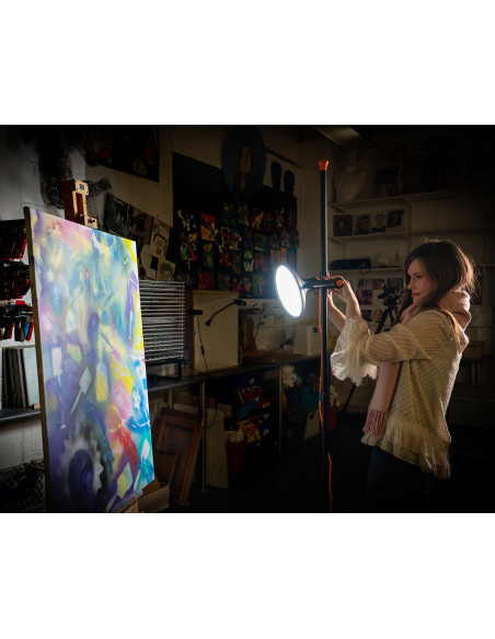 Lâmpada Daylight Artist Studio Lamp 2