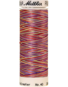 Linha de bordar Mettler Polysheen multicolor