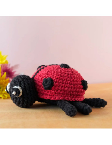 Kit de crochê - Daisy a joaninha