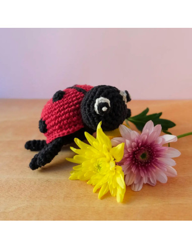 Kit de crochê - Daisy a joaninha