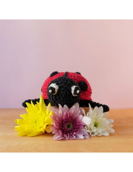 Kit de crochê - Daisy a joaninha