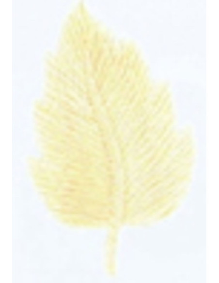 Emblema termocolante folha crua