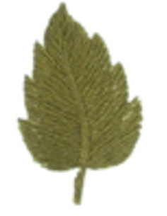 Emblema termocolante folha cáqui