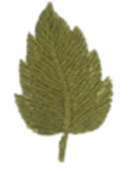 Emblema termocolante folha cáqui