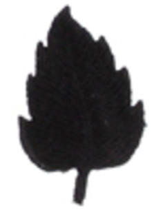 Emblema termocolante folha preta
