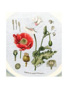 Livro o grande livro das flores bordadas 2