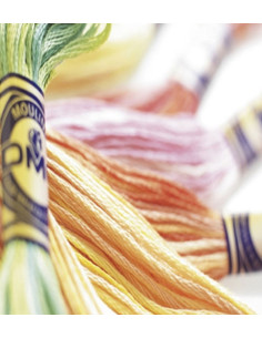 Linha de bordar Mouliné Variations DMC