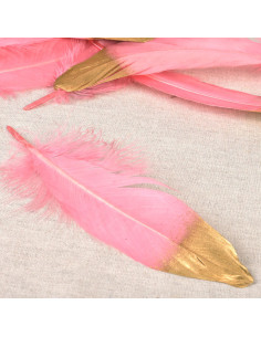 Conjunto de 10 penas acabamento dourado - Rosa