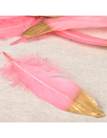 Conjunto de 10 penas acabamento dourado - Rosa