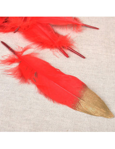 Conjunto de 10 penas acabamento dourado - Vermelho