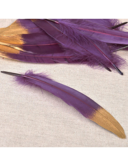 Conjunto de 10 penas acabamento dourado - Violeta