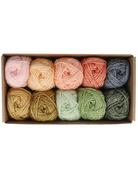 Conjunto de 10 novelos Scheepjes Stone Washed Colour Pack - Intenções