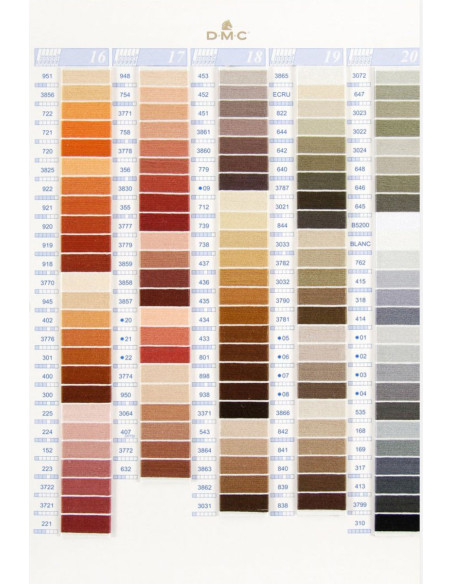 Cartela de cores com 500 tons mouliné e perlé DMC