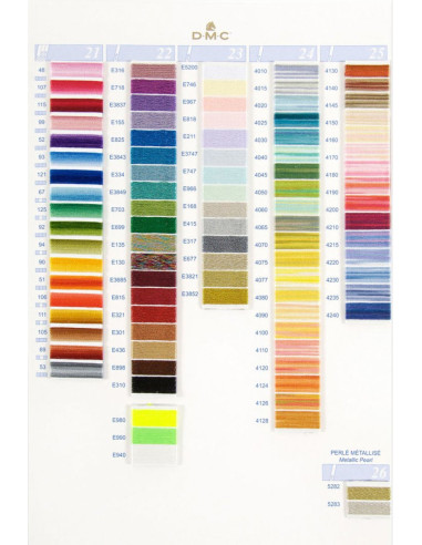 Cartela de cores com 500 tons mouliné e perlé DMC