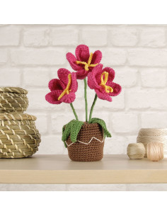 Kit amigurumi - Vaso de flores