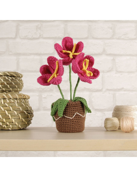 Kit amigurumi - Vaso de flores