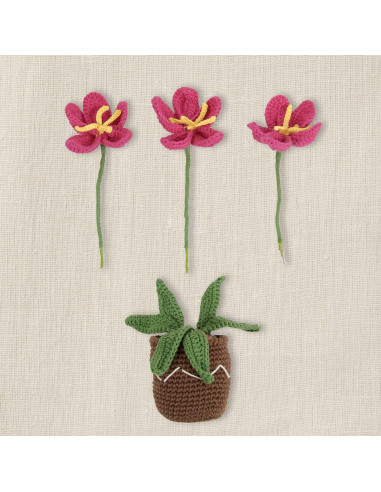Kit amigurumi - Vaso de flores