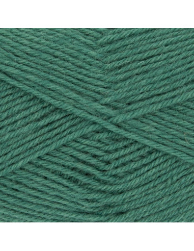 Lã para meias Hot Socks uni 50 Gründl