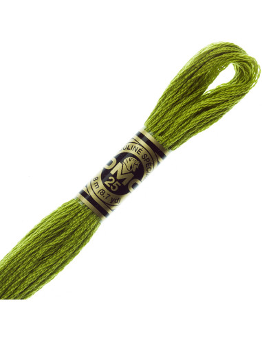 Fil à broder Mouliné DMC
