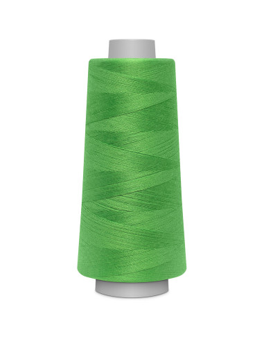Cone para overlock Gütermann Toldi-Lock 2500 m