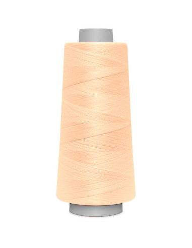 Cone para overlock Gütermann Toldi-Lock 2500 m