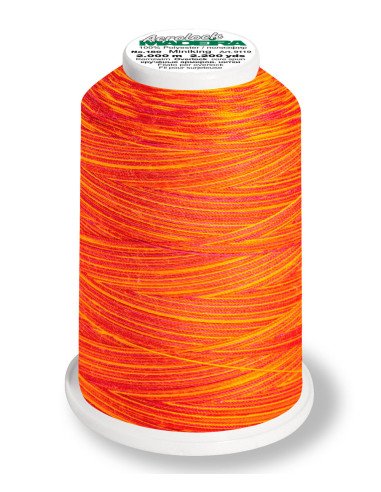 Cone para overlock Madeira Aerolock Multicolor 1200 m